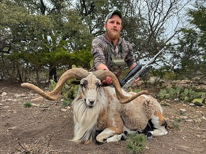 Texas ram hunts